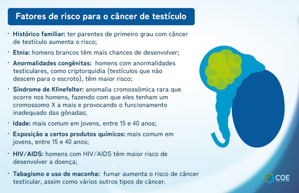 Histórico familiar: ter parentes de primeiro grau com câncer de testículo aumenta o risco;

Etnia: homens brancos têm mais chances de desenvolver;

Anormalidades congênitas: homens com anormalidades testiculares, como criptorquidia (testículos que não descem para o escroto), têm maior risco;

Síndrome de Klinefelter: anomalia cromossômica rara que ocorre nos homens, fazendo com que eles tenham um cromossomo X a mais e provocando o funcionamento inadequado das gônadas;

Idade: mais comum em jovens, entre 15 e 40 anos;

Exposição a certos produtos químicos: com pesticidas, solventes e outras substâncias químicas tóxicas;

HIV/AIDS: homens com HIV/AIDS têm maior risco de desenvolver a doença;

Tabagismo e uso de maconha: fumar aumenta de câncer testicular, assim como vários outros tipos